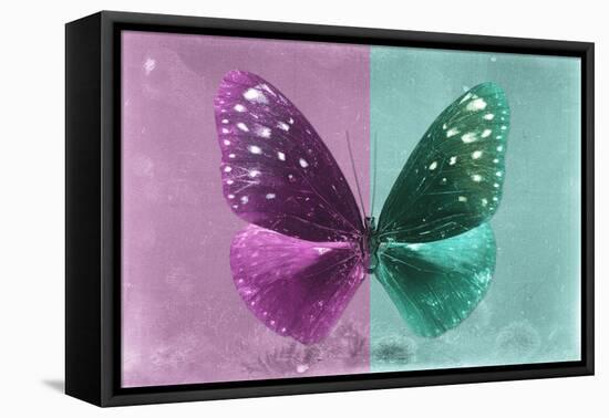 Miss Butterfly Euploea - Hot Pink & Coral Green-Philippe Hugonnard-Framed Stretched Canvas