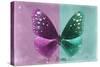 Miss Butterfly Euploea - Hot Pink & Coral Green-Philippe Hugonnard-Stretched Canvas