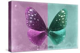 Miss Butterfly Euploea - Hot Pink & Coral Green-Philippe Hugonnard-Stretched Canvas