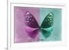 Miss Butterfly Euploea - Hot Pink & Coral Green-Philippe Hugonnard-Framed Photographic Print