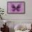 Miss Butterfly Euploea - Hot Pink-Philippe Hugonnard-Framed Photographic Print displayed on a wall