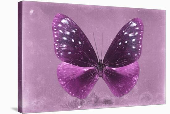 Miss Butterfly Euploea - Hot Pink-Philippe Hugonnard-Stretched Canvas