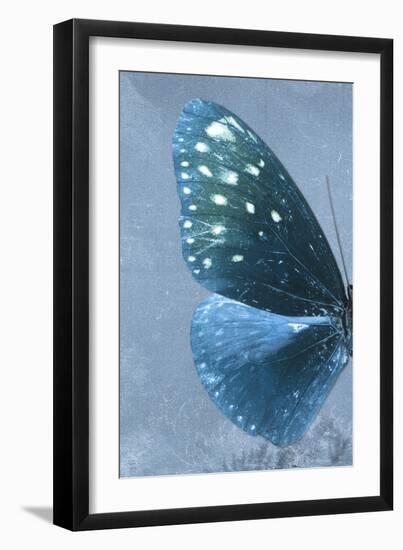 Miss Butterfly Euploea Profil - Blue-Philippe Hugonnard-Framed Photographic Print