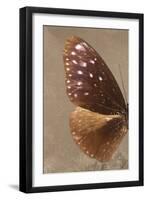Miss Butterfly Euploea Profil - Caramel-Philippe Hugonnard-Framed Photographic Print