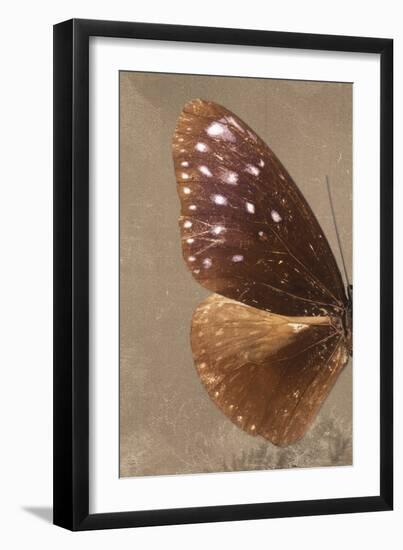 Miss Butterfly Euploea Profil - Caramel-Philippe Hugonnard-Framed Photographic Print