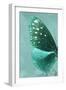Miss Butterfly Euploea Profil - Coral Green-Philippe Hugonnard-Framed Photographic Print