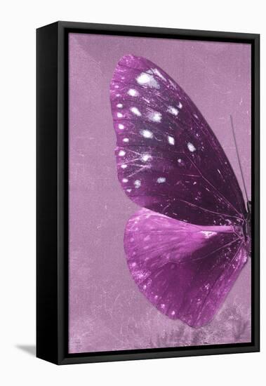 Miss Butterfly Euploea Profil - Hot Pink-Philippe Hugonnard-Framed Stretched Canvas