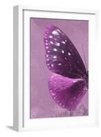 Miss Butterfly Euploea Profil - Hot Pink-Philippe Hugonnard-Framed Photographic Print