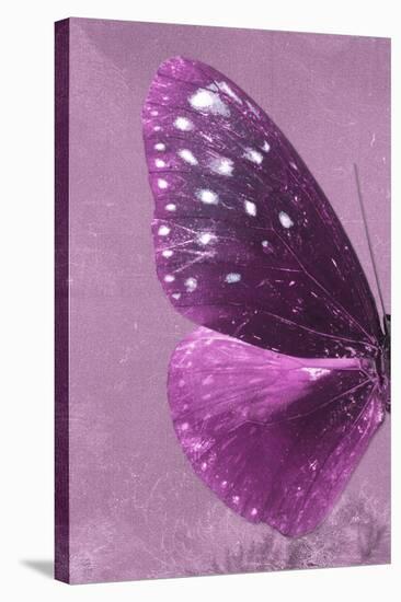 Miss Butterfly Euploea Profil - Hot Pink-Philippe Hugonnard-Stretched Canvas