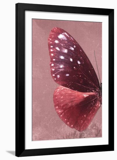 Miss Butterfly Euploea Profil - Red-Philippe Hugonnard-Framed Photographic Print