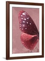 Miss Butterfly Euploea Profil - Red-Philippe Hugonnard-Framed Photographic Print