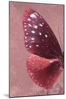 Miss Butterfly Euploea Profil - Red-Philippe Hugonnard-Mounted Photographic Print