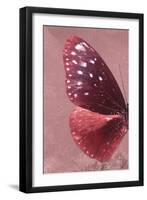 Miss Butterfly Euploea Profil - Red-Philippe Hugonnard-Framed Premium Photographic Print