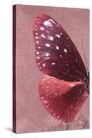 Miss Butterfly Euploea Profil - Red-Philippe Hugonnard-Stretched Canvas