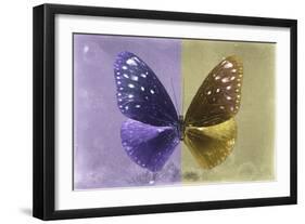 Miss Butterfly Euploea - Purple & Gold-Philippe Hugonnard-Framed Premium Photographic Print