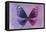 Miss Butterfly Euploea - Purple & Hot Pink-Philippe Hugonnard-Framed Stretched Canvas