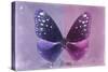 Miss Butterfly Euploea - Purple & Hot Pink-Philippe Hugonnard-Stretched Canvas