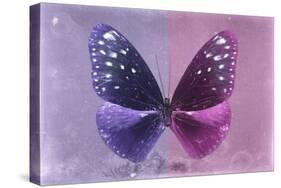 Miss Butterfly Euploea - Purple & Hot Pink-Philippe Hugonnard-Stretched Canvas