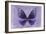 Miss Butterfly Euploea - Purple-Philippe Hugonnard-Framed Photographic Print