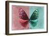 Miss Butterfly Euploea - Red & Coral Green-Philippe Hugonnard-Framed Photographic Print