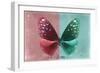 Miss Butterfly Euploea - Red & Coral Green-Philippe Hugonnard-Framed Photographic Print