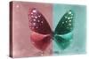 Miss Butterfly Euploea - Red & Coral Green-Philippe Hugonnard-Stretched Canvas