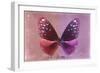 Miss Butterfly Euploea - Red & Hot Pink-Philippe Hugonnard-Framed Photographic Print