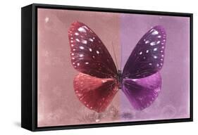 Miss Butterfly Euploea - Red & Hot Pink-Philippe Hugonnard-Framed Stretched Canvas