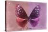 Miss Butterfly Euploea - Red & Hot Pink-Philippe Hugonnard-Stretched Canvas