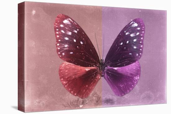 Miss Butterfly Euploea - Red & Hot Pink-Philippe Hugonnard-Stretched Canvas