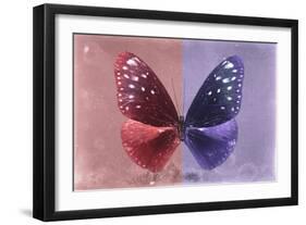 Miss Butterfly Euploea - Red & Purple-Philippe Hugonnard-Framed Photographic Print