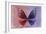 Miss Butterfly Euploea - Red & Purple-Philippe Hugonnard-Framed Photographic Print