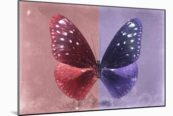 Miss Butterfly Euploea - Red & Purple-Philippe Hugonnard-Mounted Photographic Print