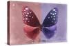 Miss Butterfly Euploea - Red & Purple-Philippe Hugonnard-Stretched Canvas