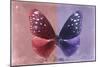 Miss Butterfly Euploea - Red & Purple-Philippe Hugonnard-Mounted Premium Photographic Print