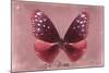 Miss Butterfly Euploea - Red-Philippe Hugonnard-Mounted Photographic Print