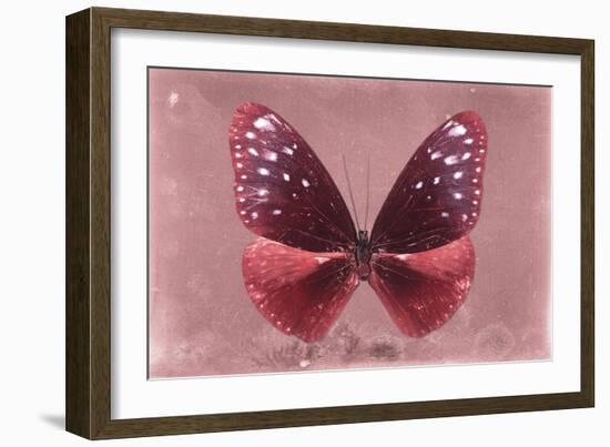 Miss Butterfly Euploea - Red-Philippe Hugonnard-Framed Photographic Print