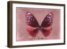 Miss Butterfly Euploea - Red-Philippe Hugonnard-Framed Photographic Print