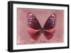 Miss Butterfly Euploea - Red-Philippe Hugonnard-Framed Photographic Print