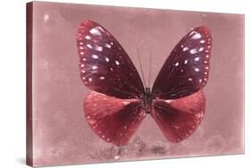 Miss Butterfly Euploea - Red-Philippe Hugonnard-Stretched Canvas