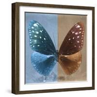 Miss Butterfly Euploea Sq - Blue & Caramel-Philippe Hugonnard-Framed Photographic Print