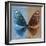 Miss Butterfly Euploea Sq - Blue & Caramel-Philippe Hugonnard-Framed Photographic Print