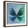 Miss Butterfly Euploea Sq - Blue & Coral Green-Philippe Hugonnard-Framed Photographic Print