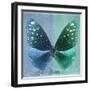 Miss Butterfly Euploea Sq - Blue & Coral Green-Philippe Hugonnard-Framed Photographic Print