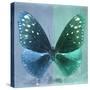 Miss Butterfly Euploea Sq - Blue & Coral Green-Philippe Hugonnard-Stretched Canvas