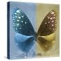 Miss Butterfly Euploea Sq - Blue & Gold-Philippe Hugonnard-Stretched Canvas