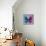 Miss Butterfly Euploea Sq - Blue & Hot Pink-Philippe Hugonnard-Photographic Print displayed on a wall