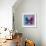 Miss Butterfly Euploea Sq - Blue & Hot Pink-Philippe Hugonnard-Framed Photographic Print displayed on a wall