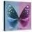 Miss Butterfly Euploea Sq - Blue & Hot Pink-Philippe Hugonnard-Stretched Canvas