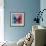 Miss Butterfly Euploea Sq - Blue & Red-Philippe Hugonnard-Framed Photographic Print displayed on a wall
